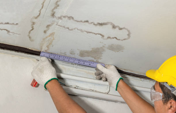 Reliable Water Damage contractor in Rushville, IL by Water Damage Irwin